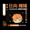 Haikyu Volleyball Tapestry Official Haikyuu Merch