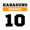 Haikyuu Hinata Shouyou 10 Tapestry Official Haikyuu Merch